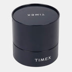 Timex Leather Silver watch