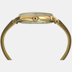 Timex Men Round Silver watch