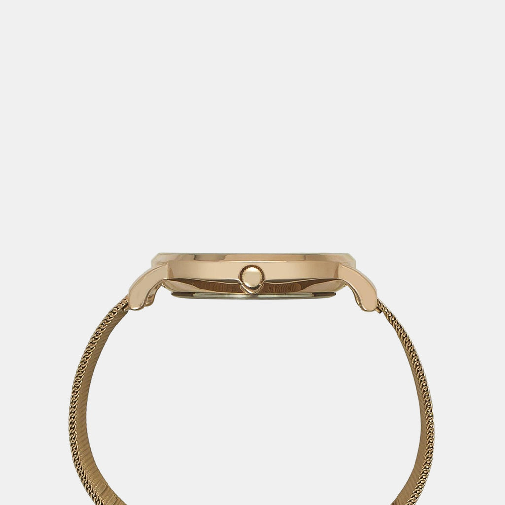 Timex Brass Round watch