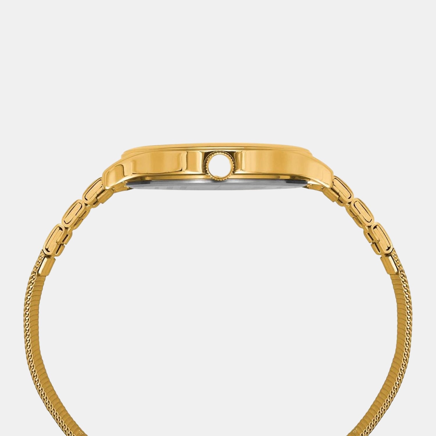 Timex Stainless Steel Round watch