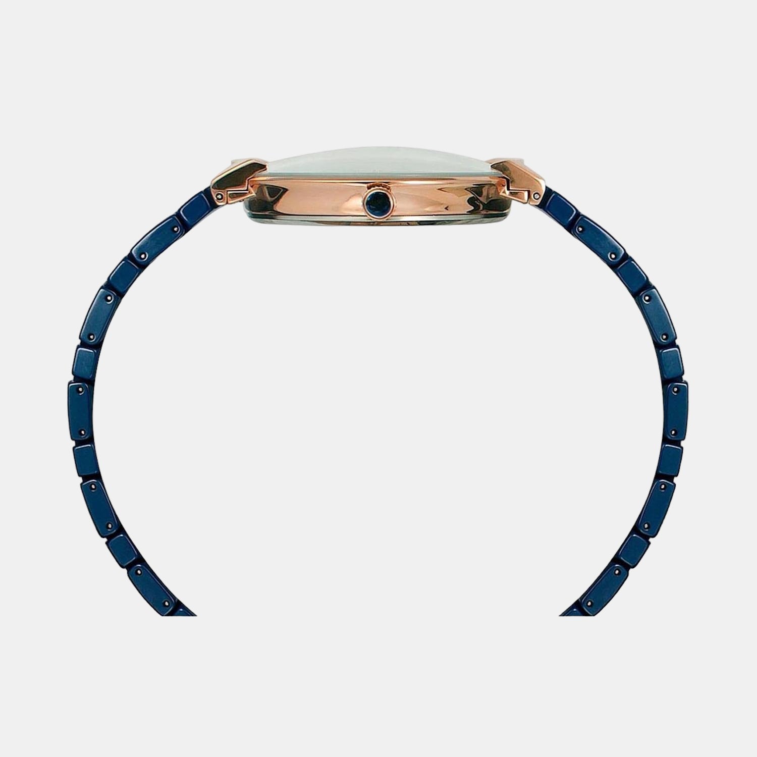 Timex Stainless Steel Round watch