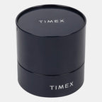 Timex Stainless Steel Brown watch