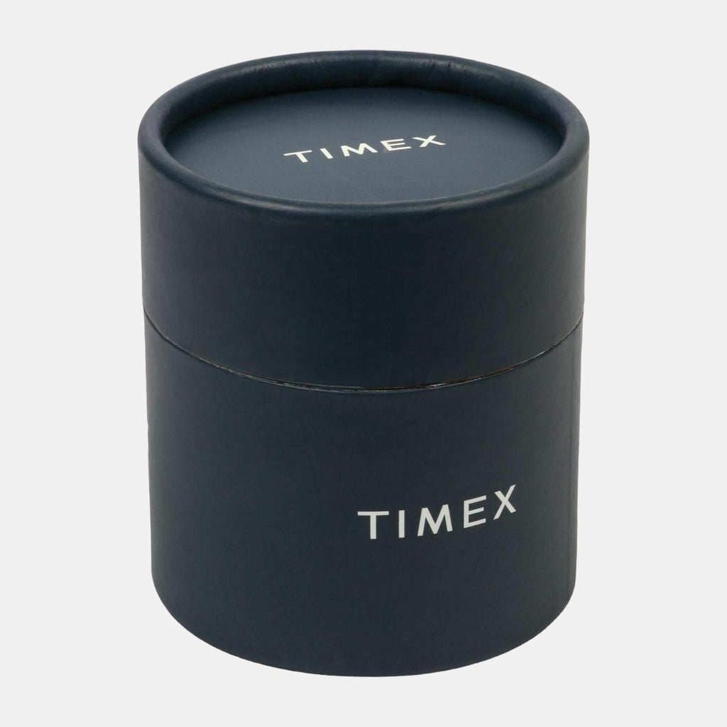 Timex Stainless Steel Gold watch