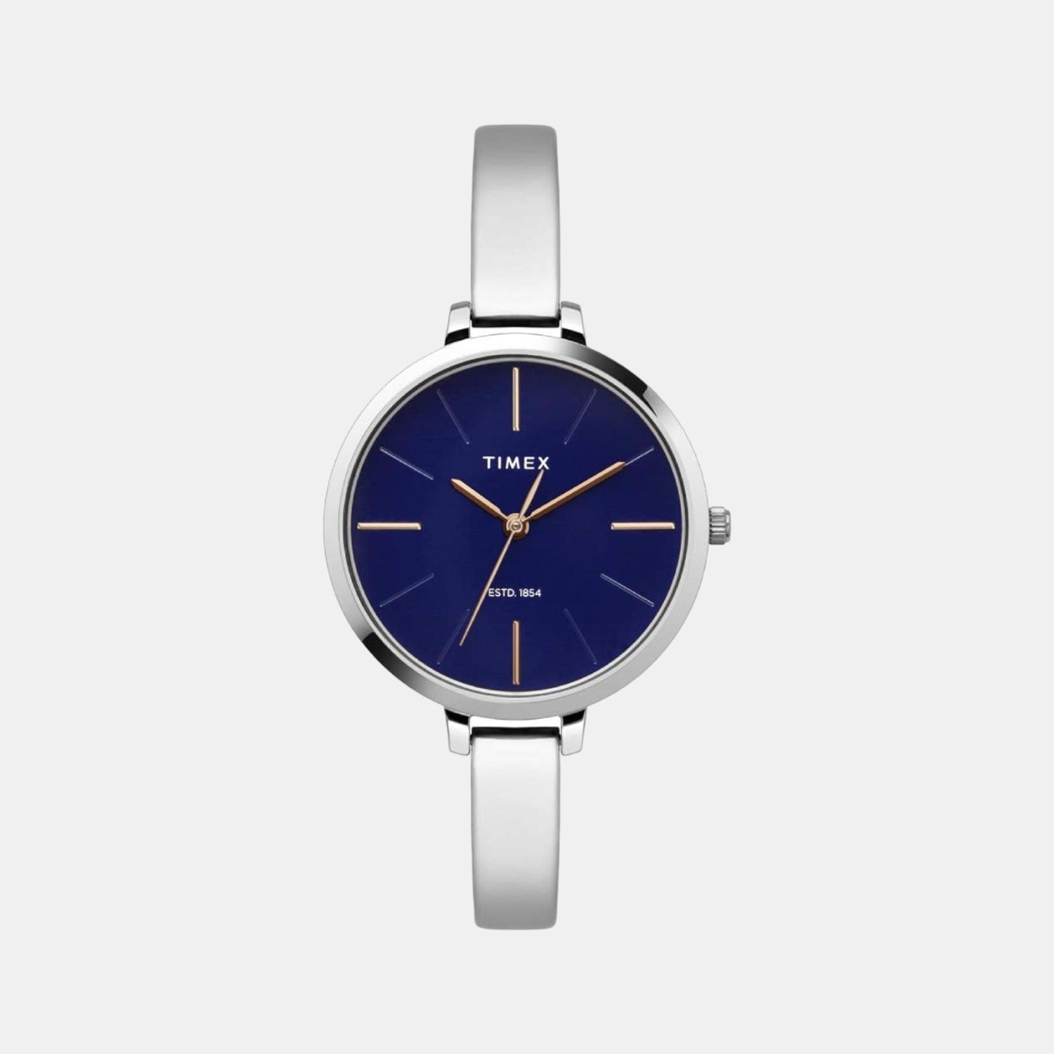 Timex Round Blue Analog watch