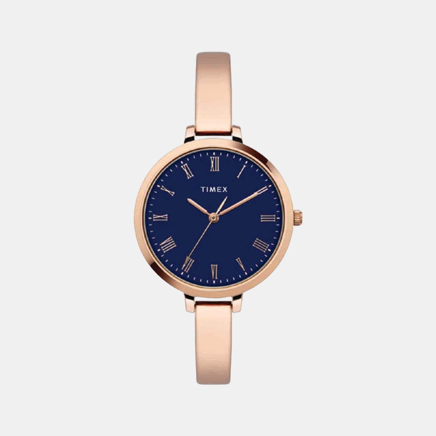 Timex Round Blue Analog watch