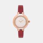 Timex Round White Analog watch