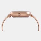 Timex Brass Round watch