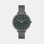 Timex Round Green Analog watch