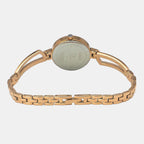 Timex Brass Silver watch