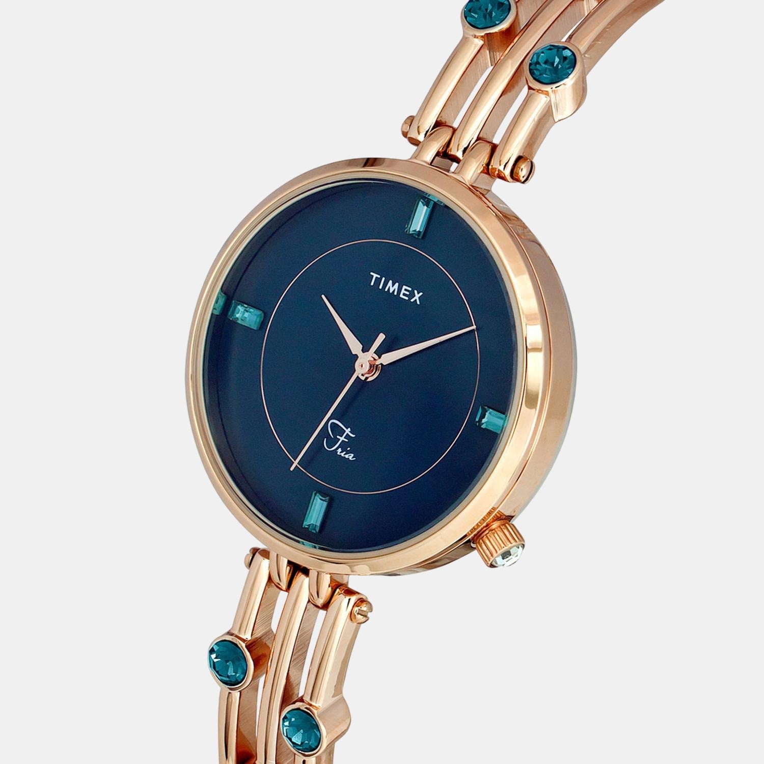 Timex Stainless Steel Blue watch