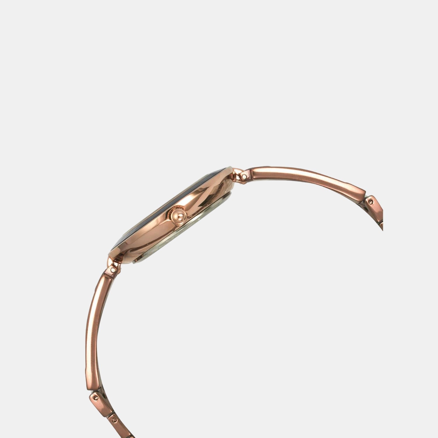 Timex Women Round Brown watch