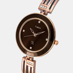 Timex Stainless Steel Brown watch
