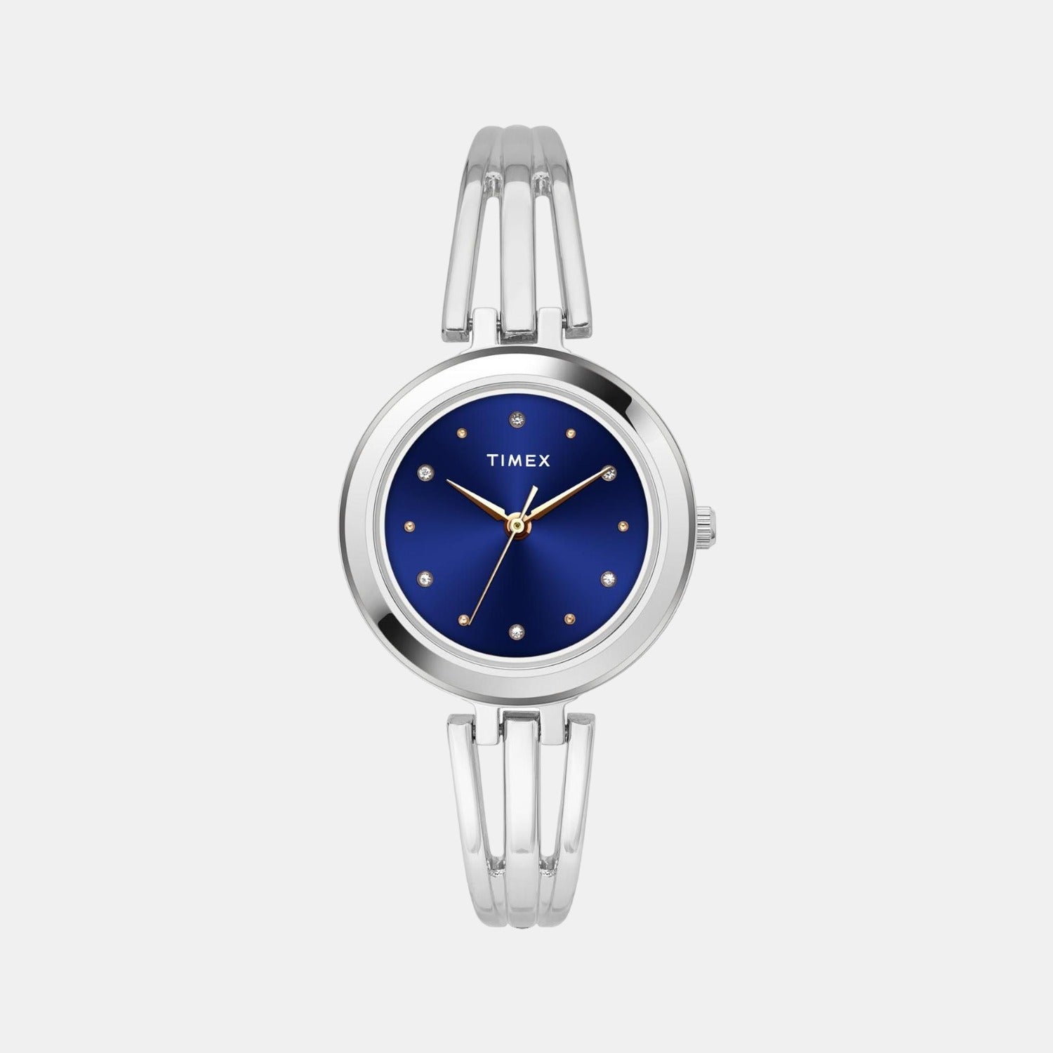 Timex Round Blue Analog watch