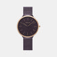Female Brown Analog Stainless Steel Watch V240LXXVNMN