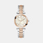 Female White Analog Stainless Steel Watch Y92001L1MF